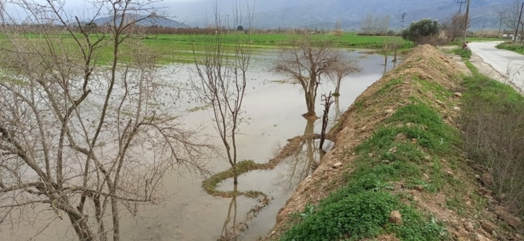 Yağışlar Küçük Menderes’i Suya Boğdu