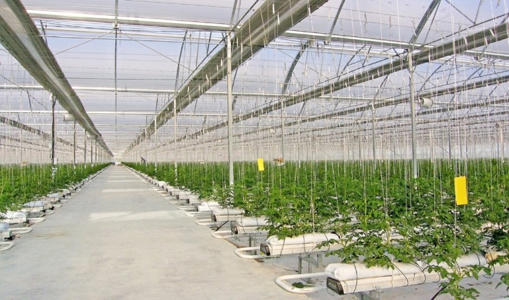 Seracılık Mükemmeliyet Merkezi Projesi Hazır