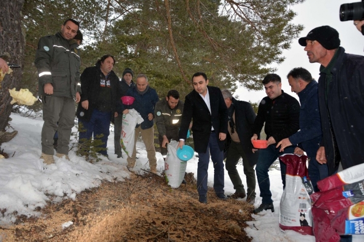 Yaban Hayatı İçin Seferber Oldular