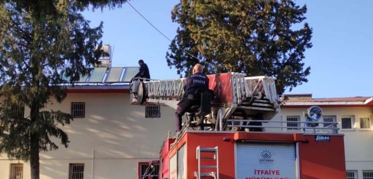 Ağaçta Mahsur Kalan Kediyi İtfaiye Ekipleri Kurtardı