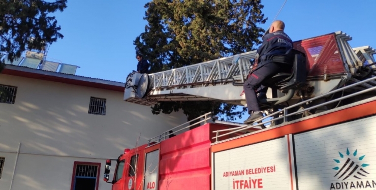 Ağaçta Mahsur Kalan Kediyi İtfaiye Ekipleri Kurtardı