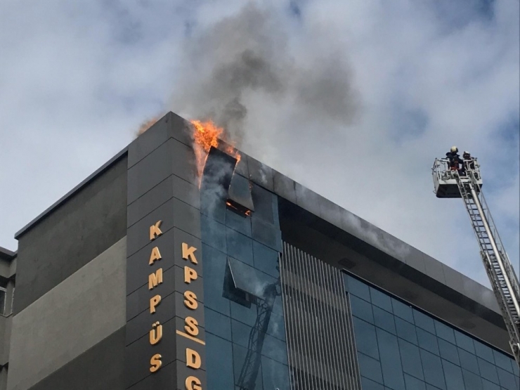 Tarım Kredi Kooperatifi Teftiş Kurulu Cayır Cayır Yandı