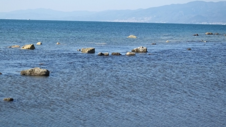 Burhaniye’de 2500 Yıllık Antik Liman İlgi Odağı Oldu