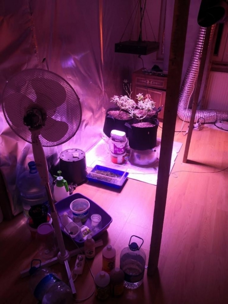 Ataşehir’de Kadın Çığlığı İhbarına Giden Polis, Uyuşturucu Tarlasına Çevrilen Evle Karşılaştı