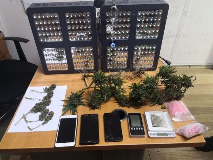 Ataşehir’de Kadın Çığlığı İhbarına Giden Polis, Uyuşturucu Tarlasına Çevrilen Evle Karşılaştı