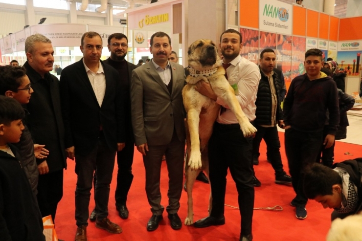 Baydilli Tarım Fuarını Ziyaret Etti