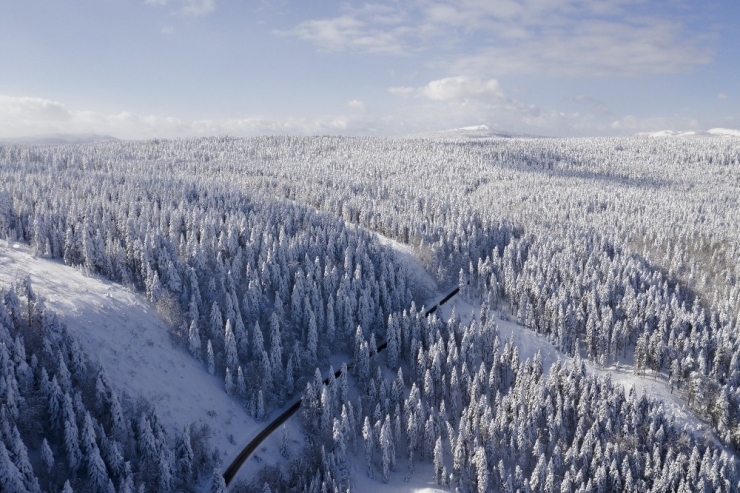 Bolu’dan Masalsı Kar Manzaraları