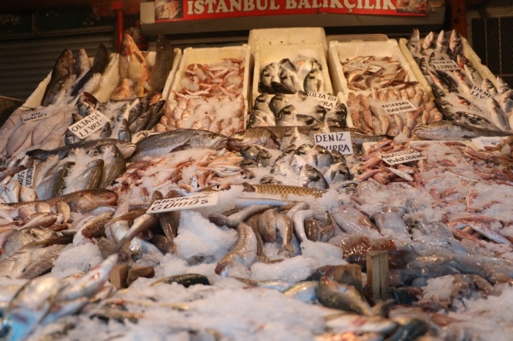 Balıkçılar Çiftlik Balıklarının Fiyatlarının Artmasına Tepkili