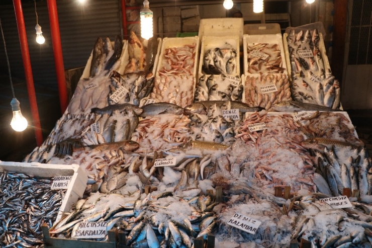 Balıkçılar Çiftlik Balıklarının Fiyatlarının Artmasına Tepkili