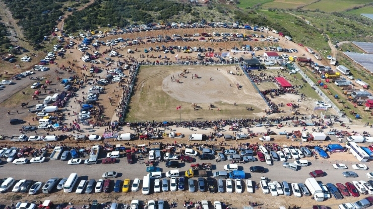 Menderes’teki Deve Güreşleri Binleri Buluştu
