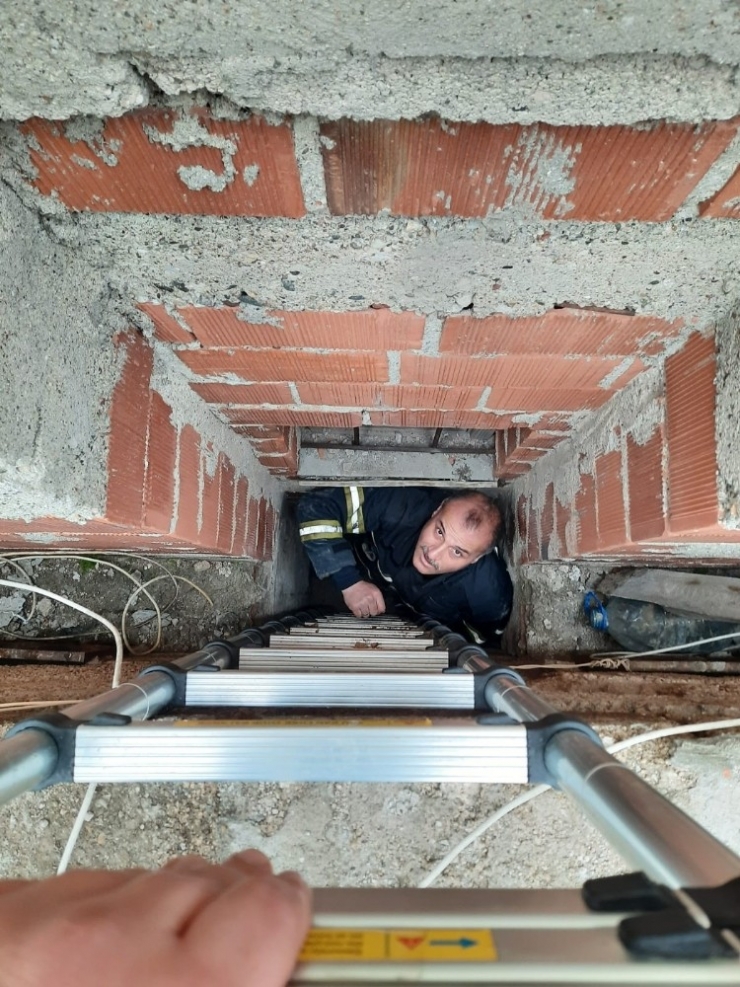 Havalandırma Boşluğuna Düşen Yavru Güvercin Kurtarıldı