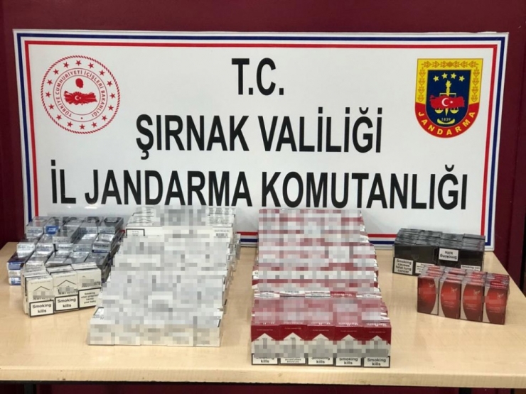 Şırnak’ta Terörün Finans Kaynaklarına Darbe: 63 Gözaltı