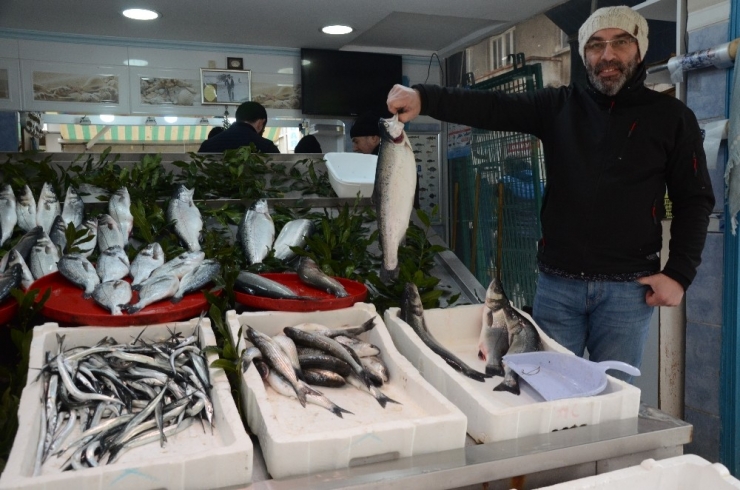 Tezgahları Havuz Balıkları Süslüyor