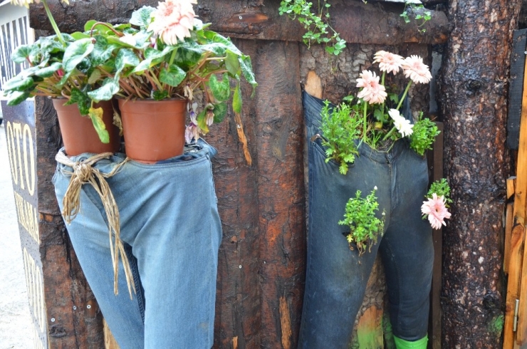 Kıyamadığı Pantolonları Saksı Yaptı