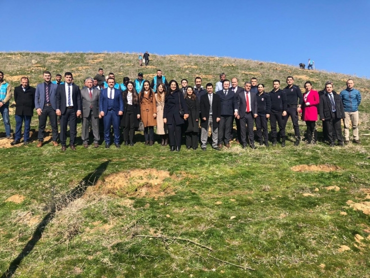 Hakim Ve Savcılar Hükümlülerle Birlikte Fidan Dikti