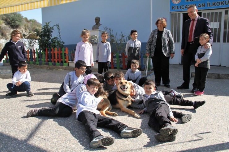 Alanya’da Engelli Köpek ‘Şirin’ Öğrencilerin İlgi Odağı Oldu