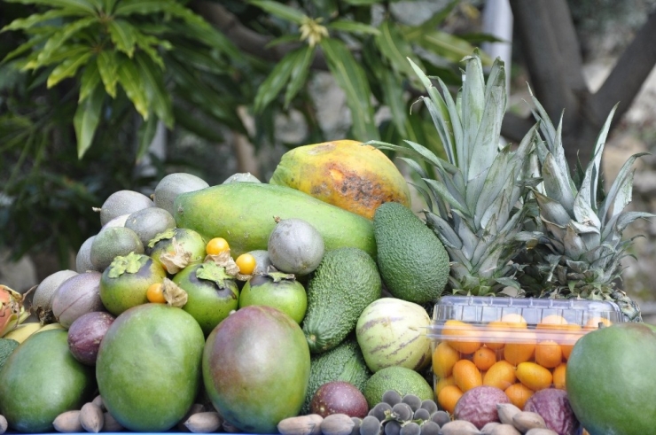Tropikal Meyveler Yok Satıyor