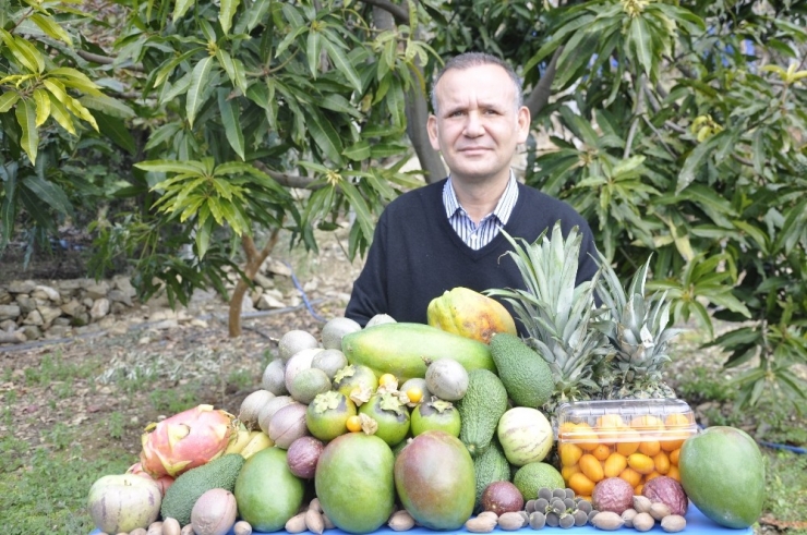 Tropikal Meyveler Yok Satıyor