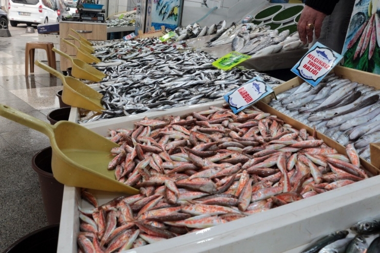 Balıkçılar Açıkladı: “Böyle Giderse Balıkçılık Biter”