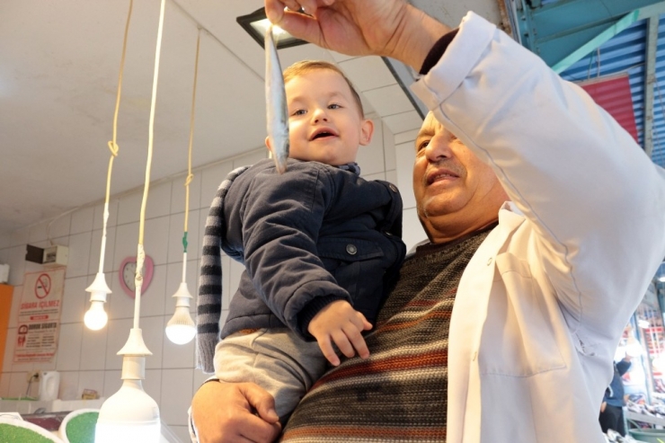 Balıkçılar Açıkladı: “Böyle Giderse Balıkçılık Biter”