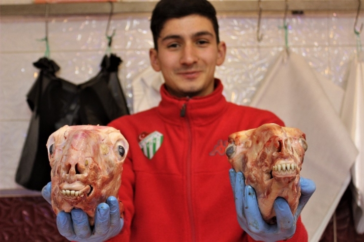 Canan Karatay Gündeme Taşıdı, Vatandaş Sakatatçılara Akın Etti