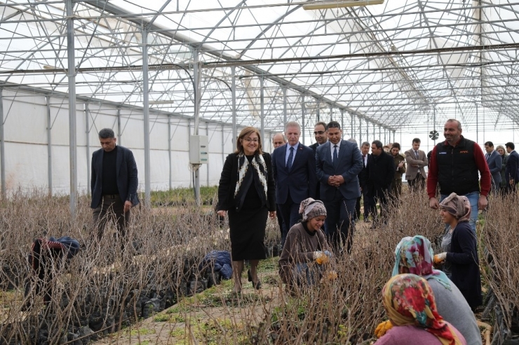 Büyükşehir, Gaziantep’in Yöresel Tatlarını Koruyacak