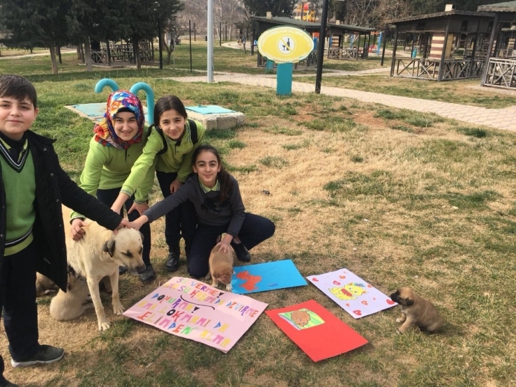 Öğrencilerden Sokak Hayvanlarına Destek