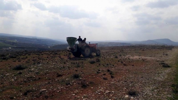 Meralarda İlkbahar Gübrelemesi