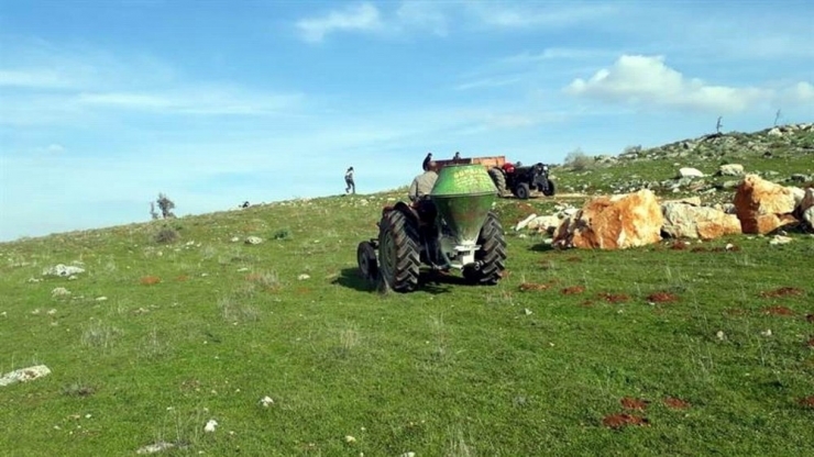 Meralarda İlkbahar Gübrelemesi