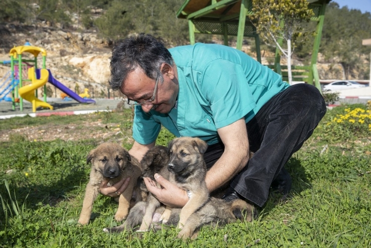 Bereket’in Yavruları Büyüyor