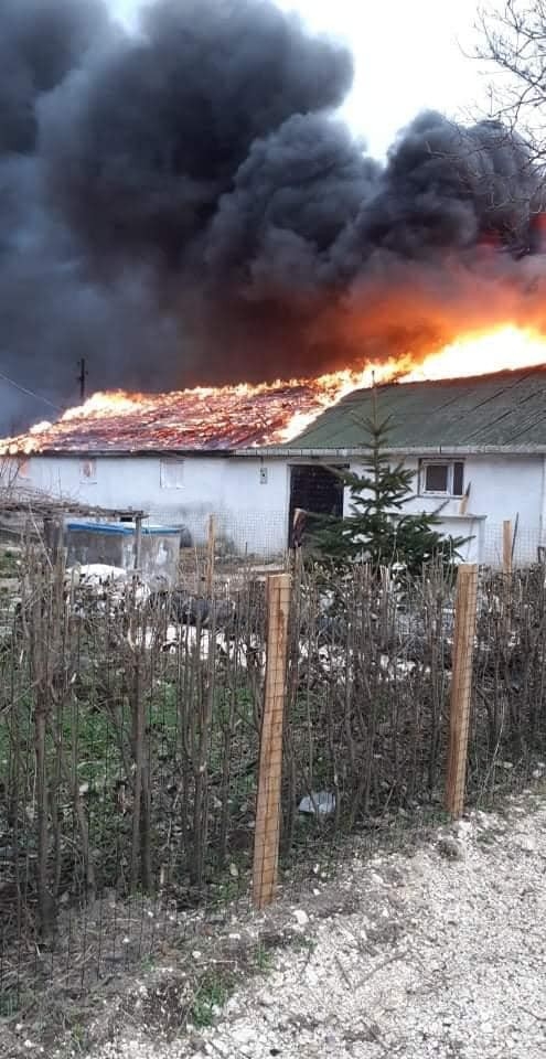 Ordu’da Ahır Yangınında 13 Hayvan Telef Oldu