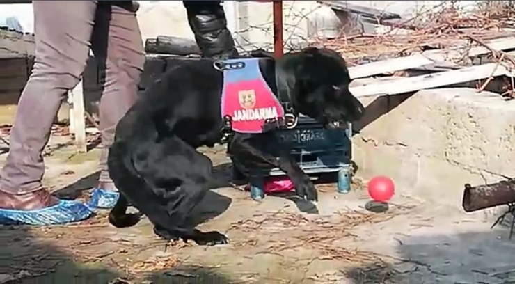 Uyuşturucu Operasyonunda Yakalanan Şüpheli Tutuklandı