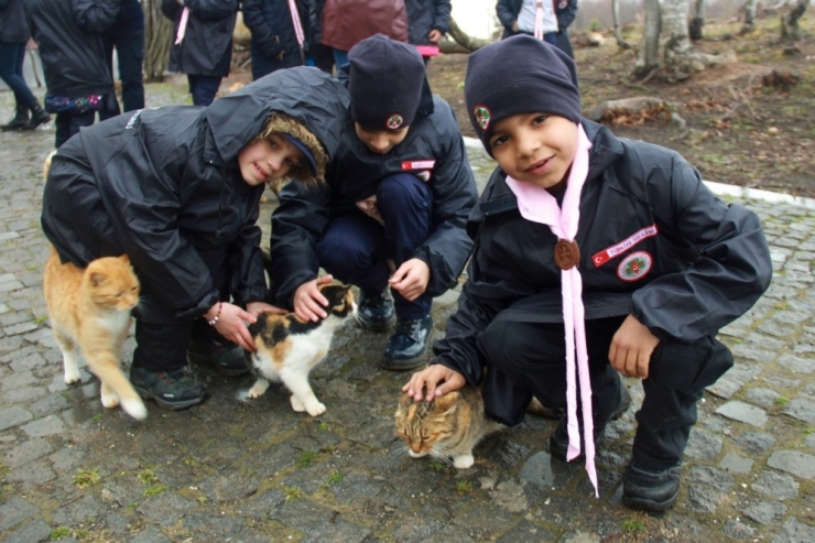 İzciler Farkındalık Oluşturdu