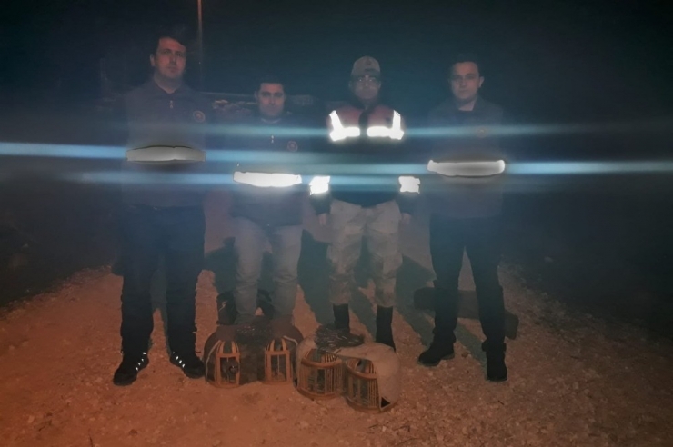 Şanlıurfa’da Kaçak Avlanmış 9 Kınalı Keklik Ele Geçirildi