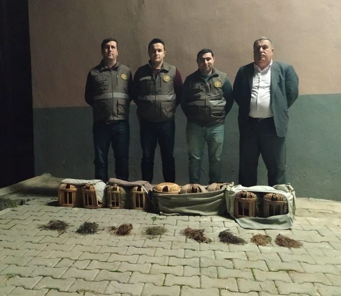 Şanlıurfa’da Kaçak Avlanmış 9 Kınalı Keklik Ele Geçirildi