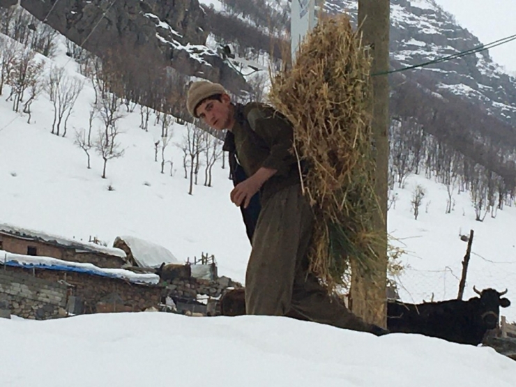 Şırnak’ın Dağ Köylerinde Zorlu Yaşam