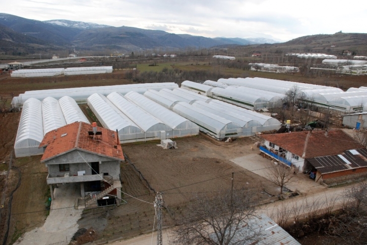 Seracılık Köyden Şehre Göçü Durdurdu