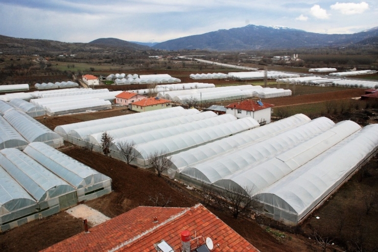 Seracılık Köyden Şehre Göçü Durdurdu