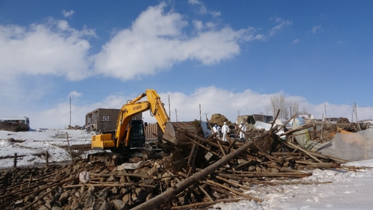 Depremde Telef Olan Hayvanlar Enkaz Altından Çıkarıldı