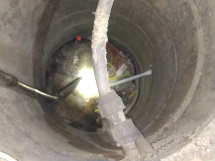 Su Kuyusuna Düşen Köpeği Kurtarma Operasyonu Kamerada