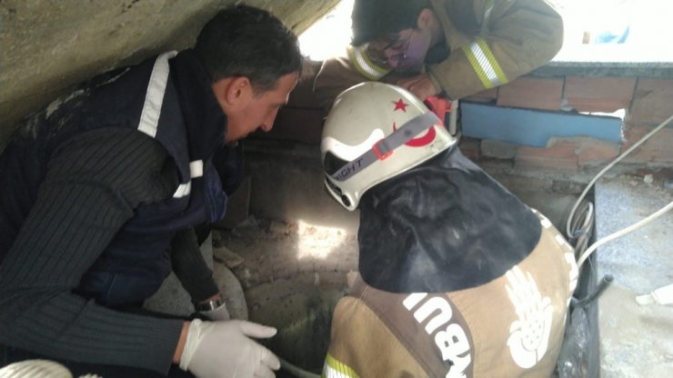 Su Kuyusuna Düşen Köpeği Kurtarma Operasyonu Kamerada