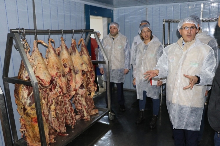 Ağrı’da Gıda Denetim Seferberliği Tamamlandı