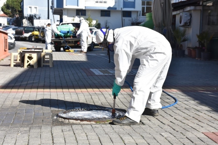 Edremit Belediyesi Sinekle Mücadeleye Başladı