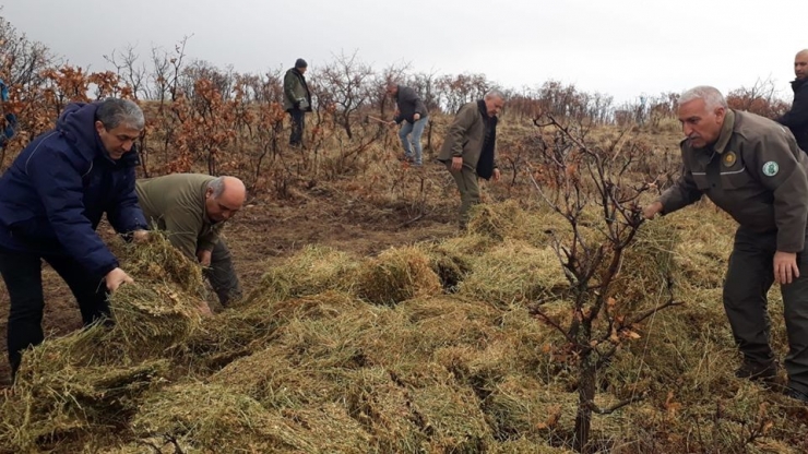 Elazığ’da Yaban Hayvanları İçin Doğaya Yem Bırakıldı