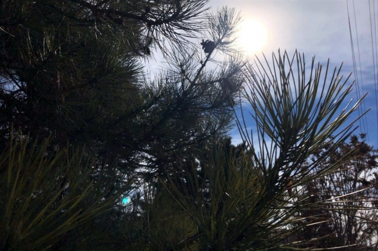 Sıcak Havalar Yerini Hafta Sonu Yağmur Kar Yağışına Bırakacak