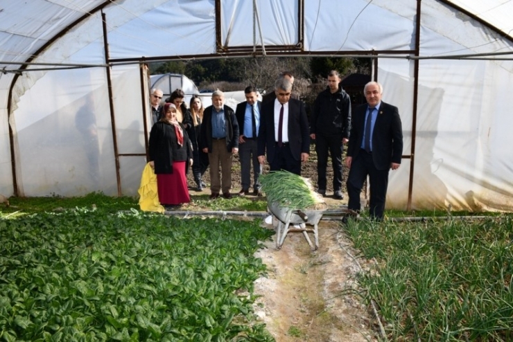 Vali Gürel’den Örtü Altı Üreticilerine Ziyaret
