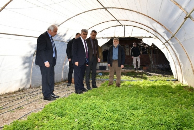 Vali Gürel’den Örtü Altı Üreticilerine Ziyaret