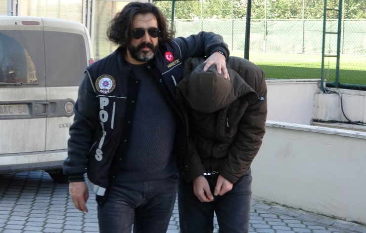 483 Gram Bonzai İle Yakalandı