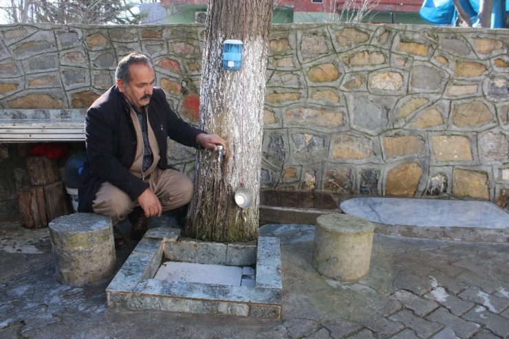 Donan Musluk Borusuna İlginç Çözüm, Ağaç Gövdesini Oydu