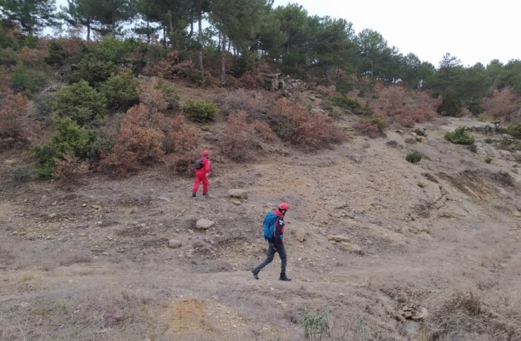 Eşek Almaya Giderken Kaybolan Yaşlı Adam Her Yerde Aranıyor